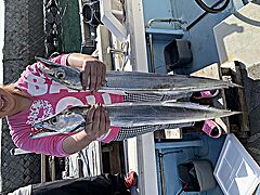 遊漁船 未紗奈 釣果