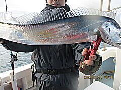 遊漁船 未紗奈 釣果