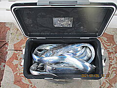 遊漁船 未紗奈 釣果