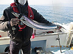 遊漁船 未紗奈 釣果