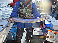 遊漁船 未紗奈 釣果