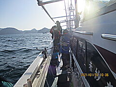 遊漁船 未紗奈 釣果