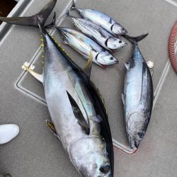 へいみつ丸 釣果