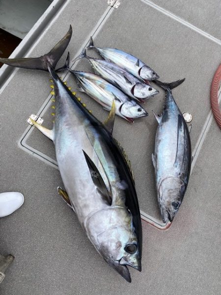 へいみつ丸 釣果