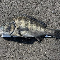 イチノ兄弟、釣果！