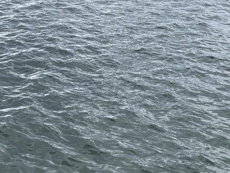 メバルシーズンですね。