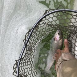 服部フィッシングパーク