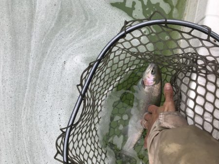 服部フィッシングパーク