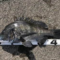 イチノ兄弟、釣果!