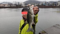 雨の中の高活性