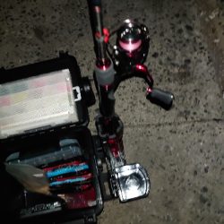 今年お初の釣り