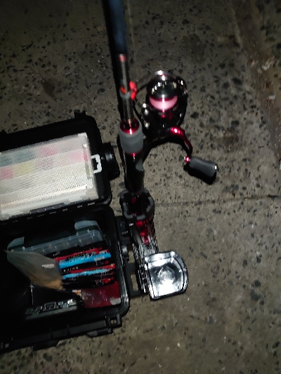 今年お初の釣り