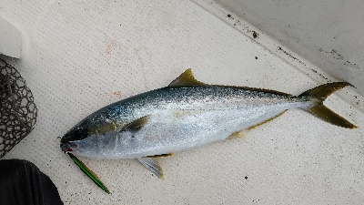 やっと釣り初め