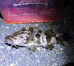 厳しい冬の釣行