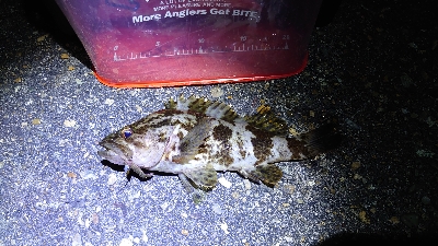 厳しい冬の釣行