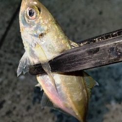 まだまだ修行が必要