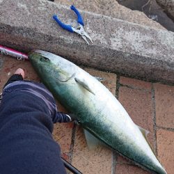 初釣りは冬の青物狙い
