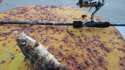 極寒のライトゲーム