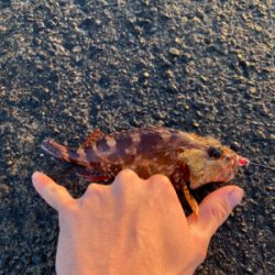 ライトゲームにて