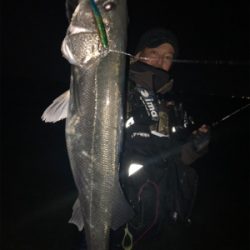 あけおめシーバス、ランカーいったか？！