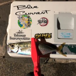 経験値5上がる釣り方を覚えた