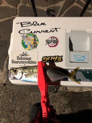 経験値5上がる釣り方を覚えた