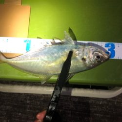 令和3年スタート