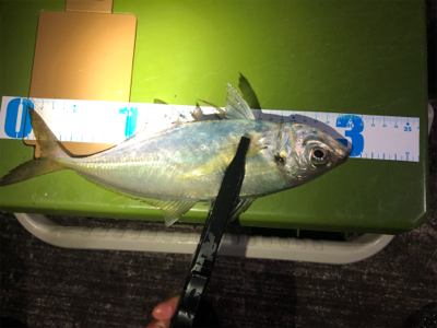 令和3年スタート