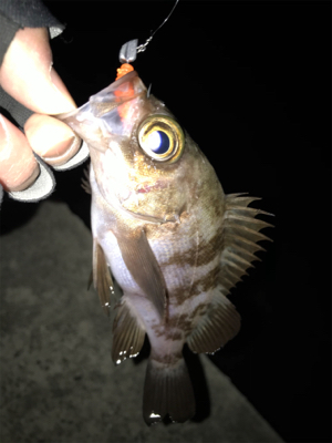 2021ライトゲーム第1戦