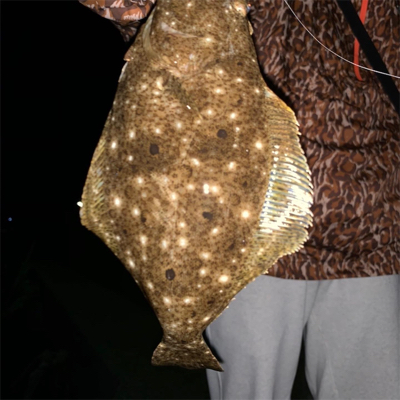 アジングでまさかのヒラメ