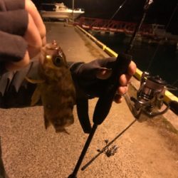 新年極寒ライトゲーム