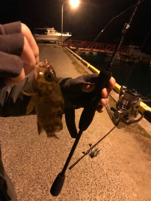 新年極寒ライトゲーム