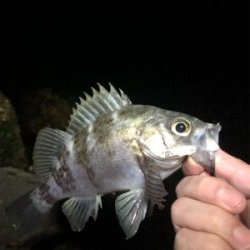 サイズが出ない。