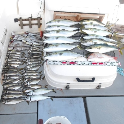 SOUTH(サウス)釣果