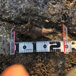 冬といえば穴釣り