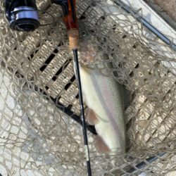 服部緑地、今日暑い。気温が・・・。