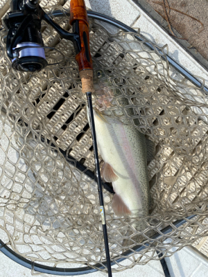 服部緑地、今日暑い。気温が・・・。