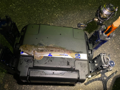 釣れない時に、時を戻そう。