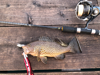 久しぶりの釣り