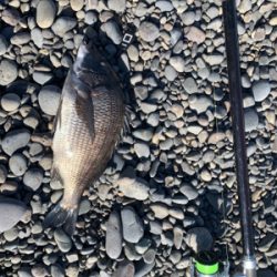 今年の初釣行狙うは居残りカツオ！