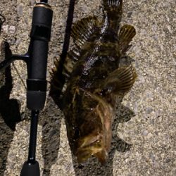 ライトゲーム‼︎