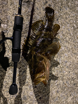 ライトゲーム‼︎