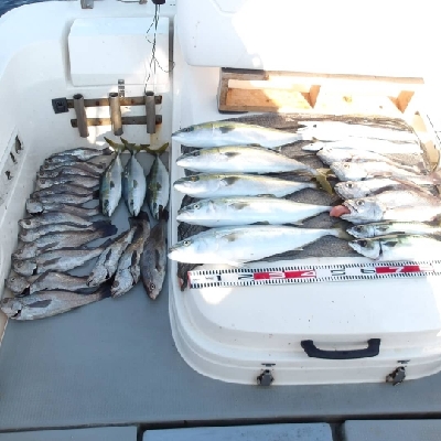 SOUTH(サウス)釣果