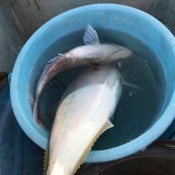 天気はいいのにょ