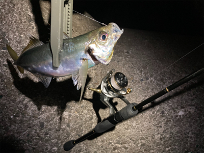 2021 やっと釣り初め