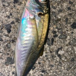 フロートアジング