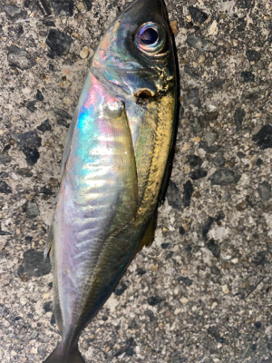 フロートアジング