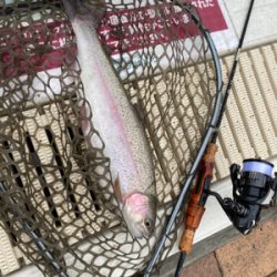 エリアトラウト  ボトムスプール