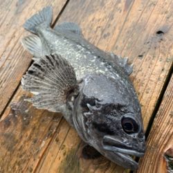 ポート田尻さんにて