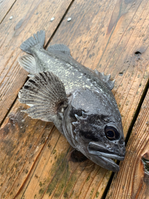 ポート田尻さんにて